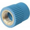 Nupi raccord 75mm-2"F Niron