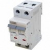 Disjoncteur bipolaire 16A