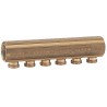 Giacomini collecteur 4/4"FF + mamelon 6x18AA