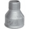 Georg Fischer galva réduction FM nr246 2"-6/4"